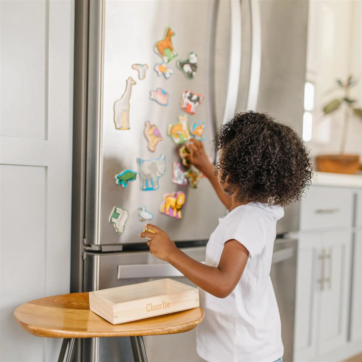 Wooden Magnets Animal