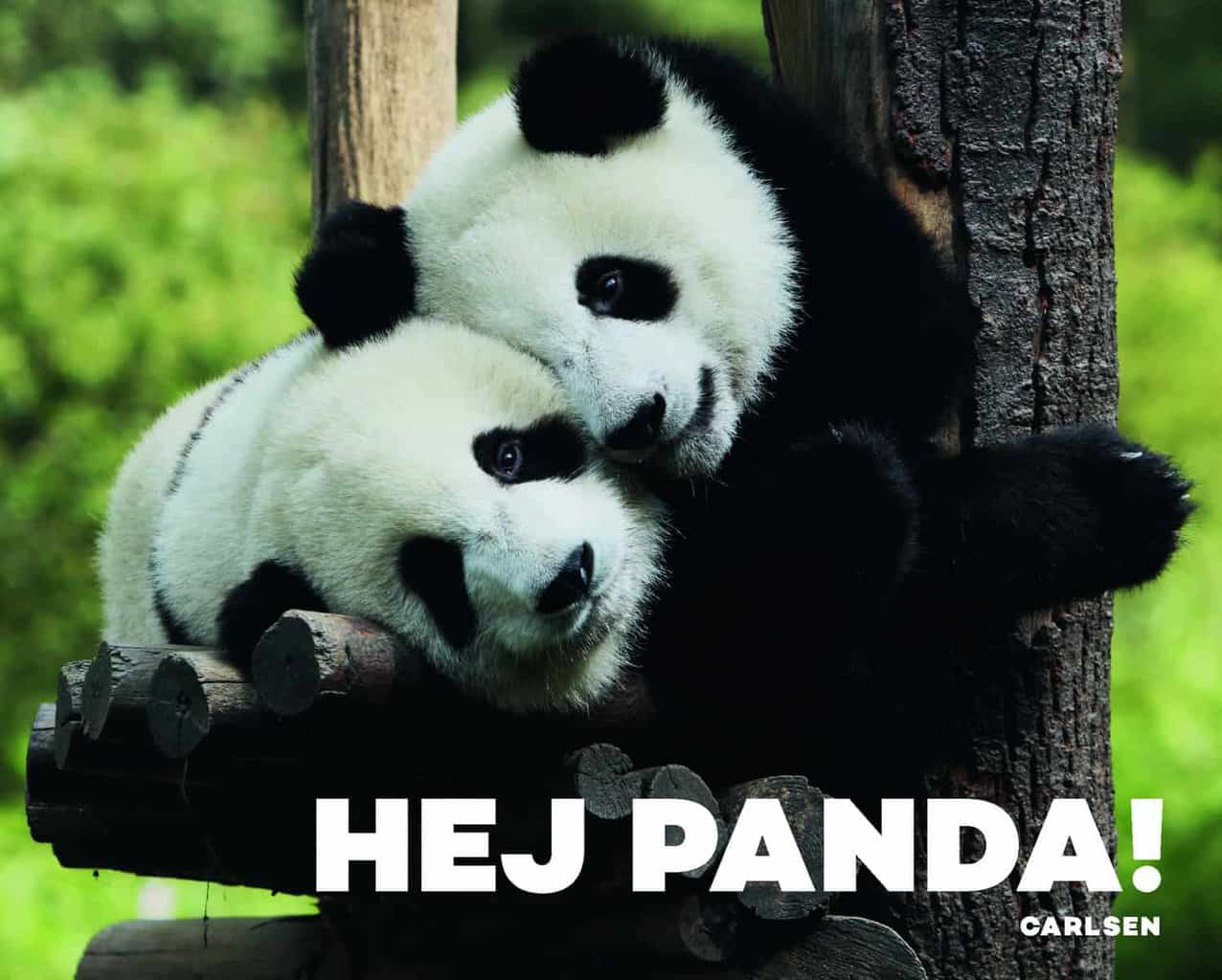 Forlaget Carlsen: Hej Panda