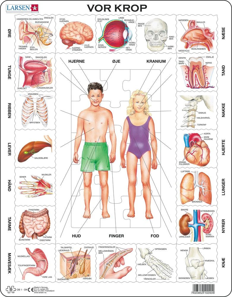 Larsen Puslespil, Vor Krop